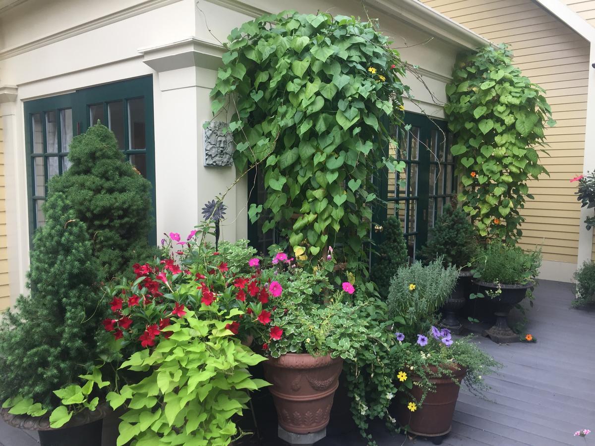 Mary Prentiss Inn เคมบริดจ์ ภายนอก รูปภาพ